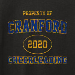 Cranford HS Cheer Fall 2020