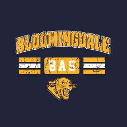 Bloomingdale Ave Fall 2023