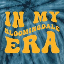 Bloomingdale Ave School Fall 2024